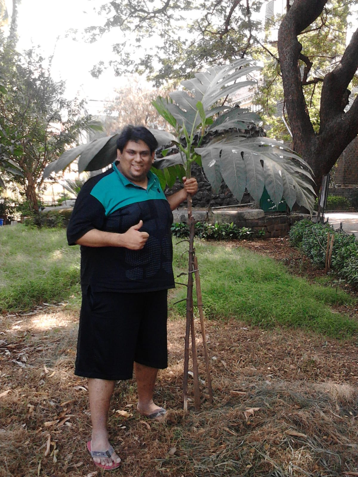 George Remedios with one of his planted trees