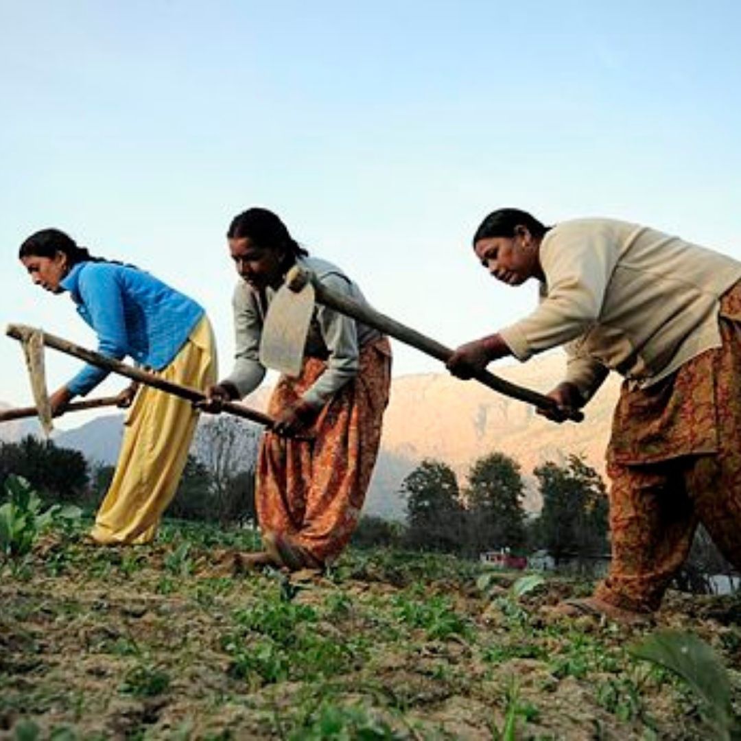 The Unknown, Unheard Lot Of Women Farmers In India