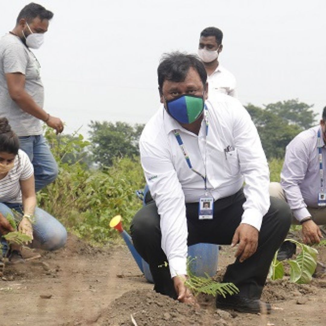 A Responsible Step! Blue Dart Plants Over 1 Lakh Trees In Jharkhand