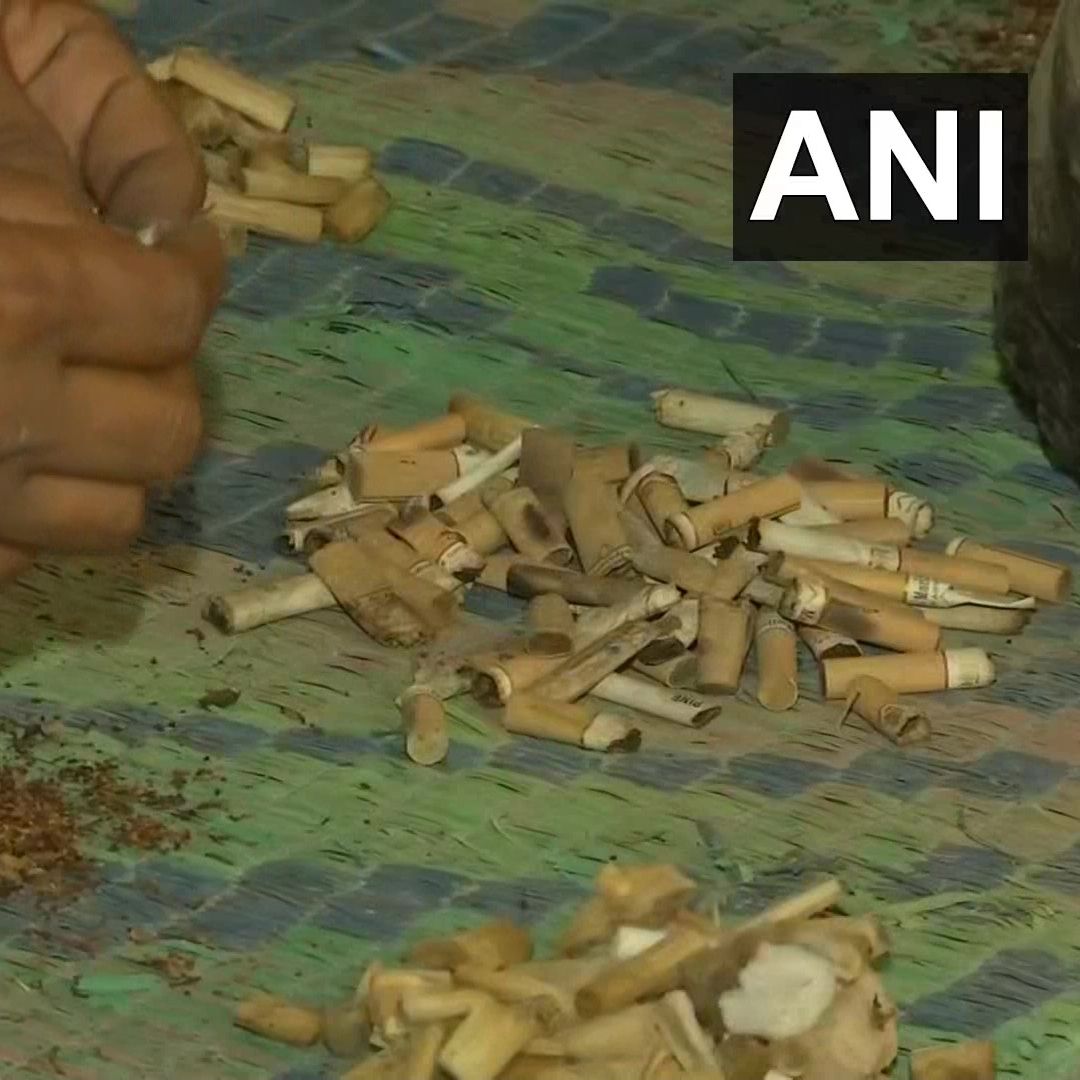 Innovative! Punjab Man Makes Toys, Mosquito Repellants Out Of Cigarette Butts