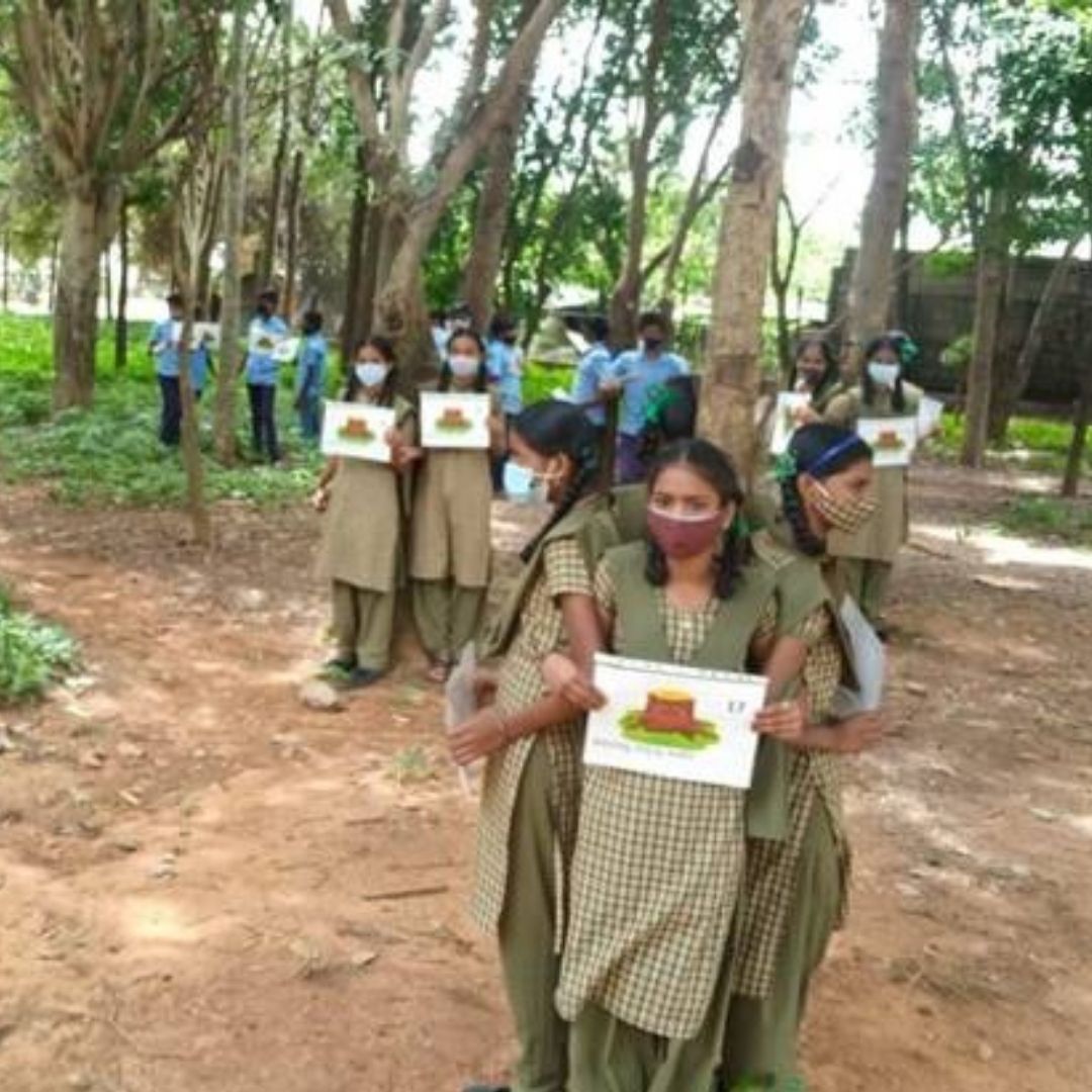 Chipko Rerun In Bengaluru As Students Protest Against Civic Bodys Decision To Axe Trees On Campus
