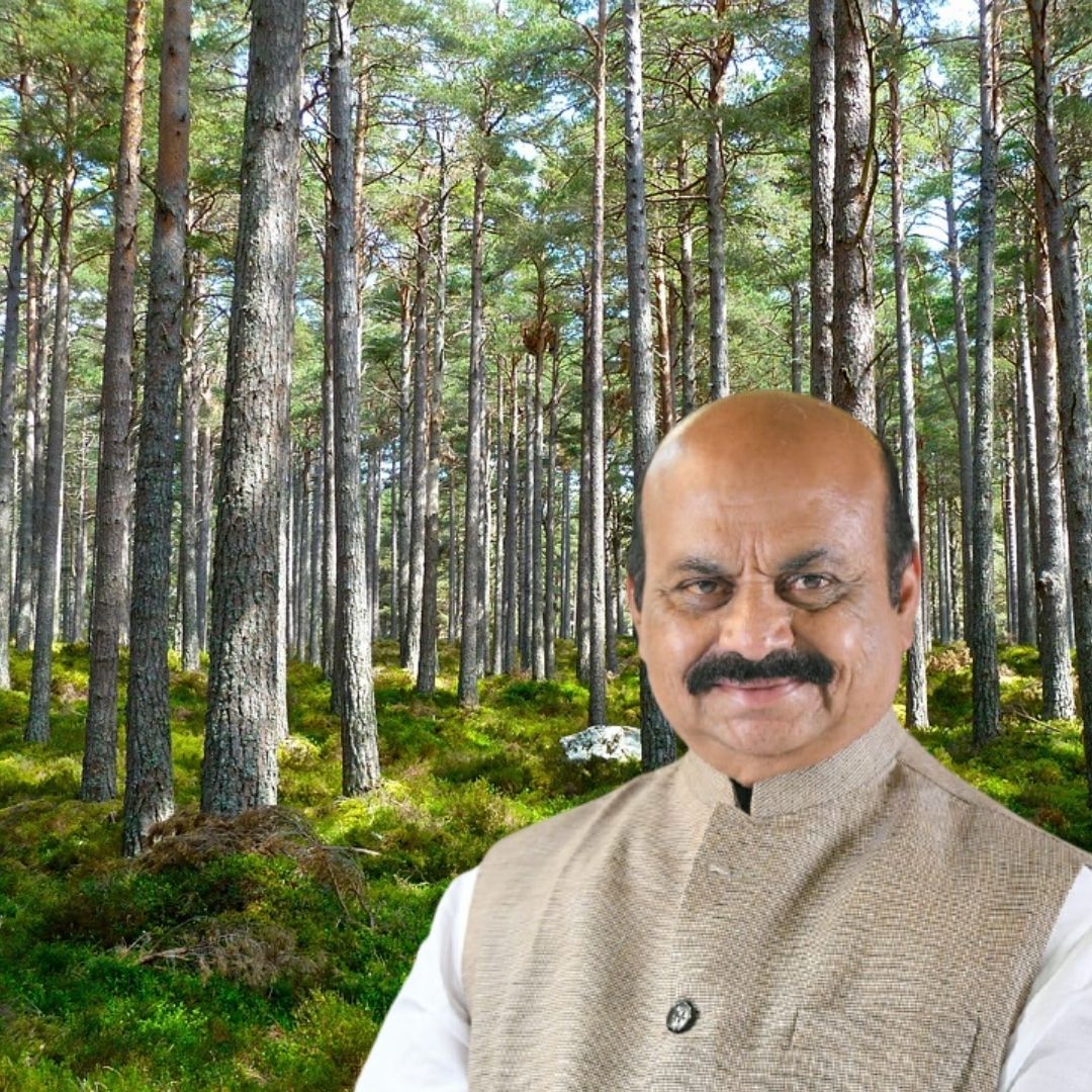 Good News! Karnataka To Come Up With Green Budget To Protect Ecology, Forests