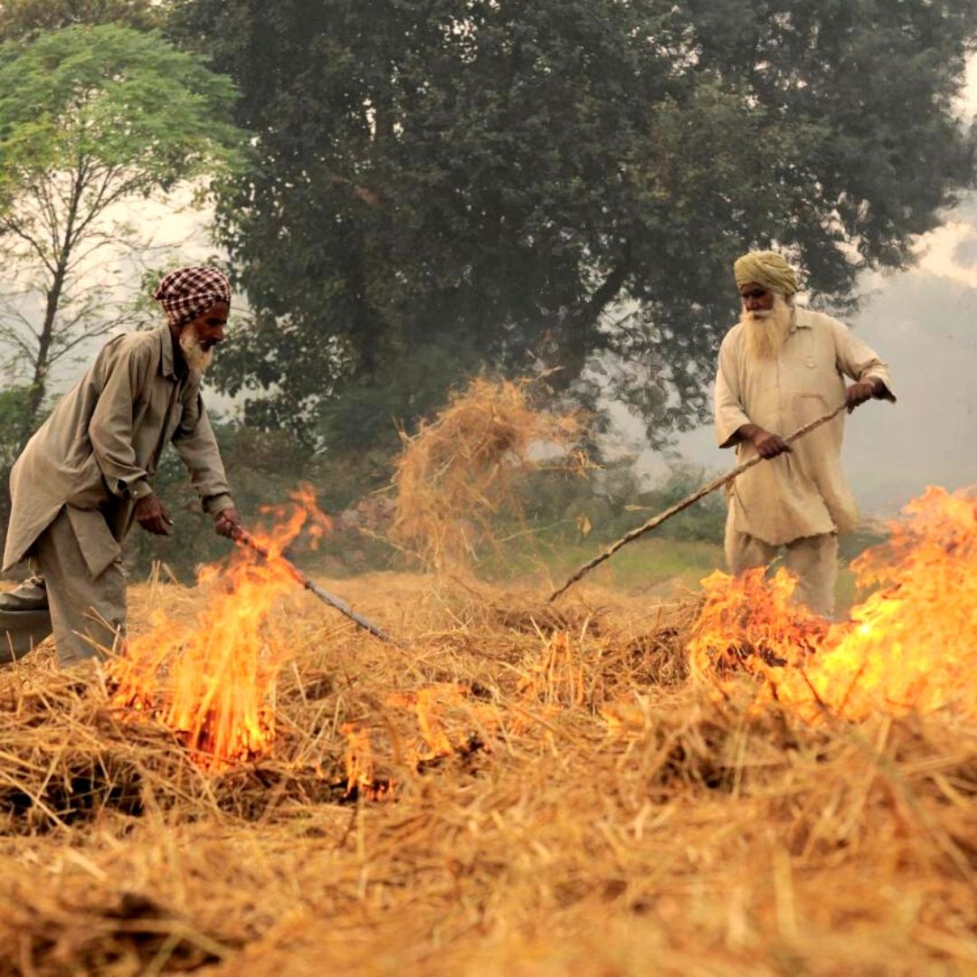 Centre Allots Rs 496 Cr To Fund Machinery For Reducing Stubble Burning, Air Pollution