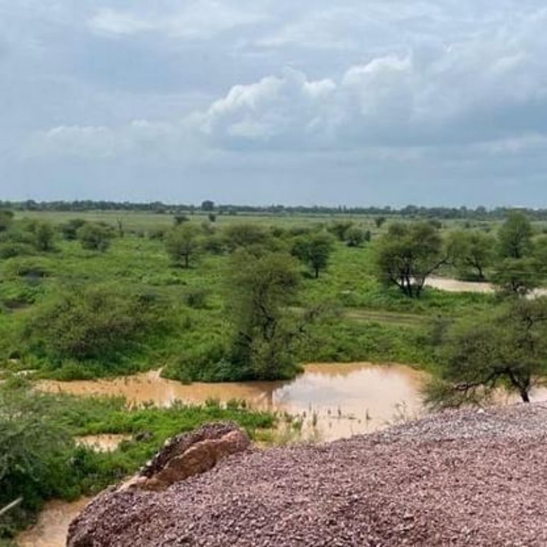 Chhattisgarh Begins To Make Indias Biggest Man-Made Forest On Barren Land