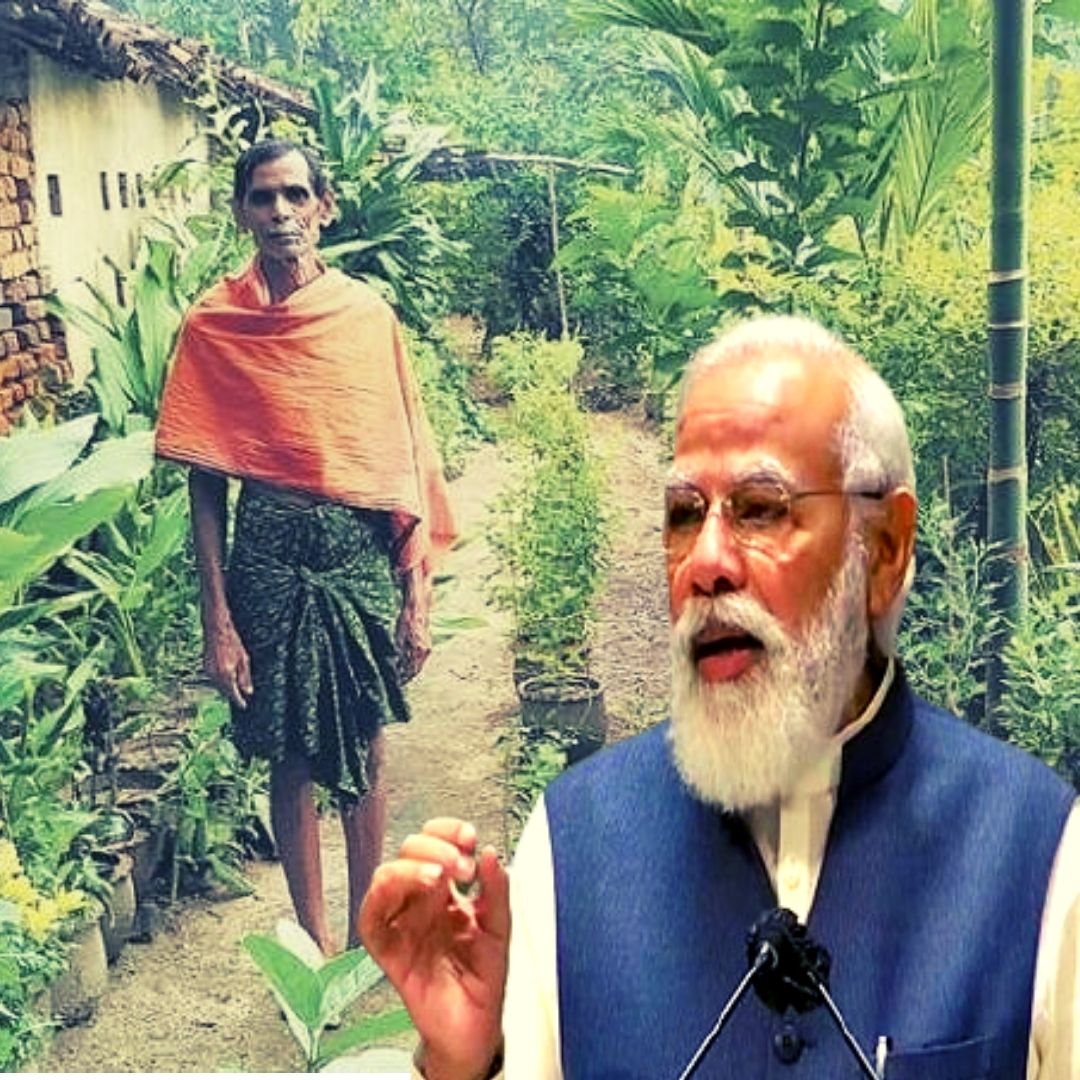 65-Yr-Old Odisha Farmer Grows Garden With 3,000 Medicinal Plants, Earns Praise From PM Modi