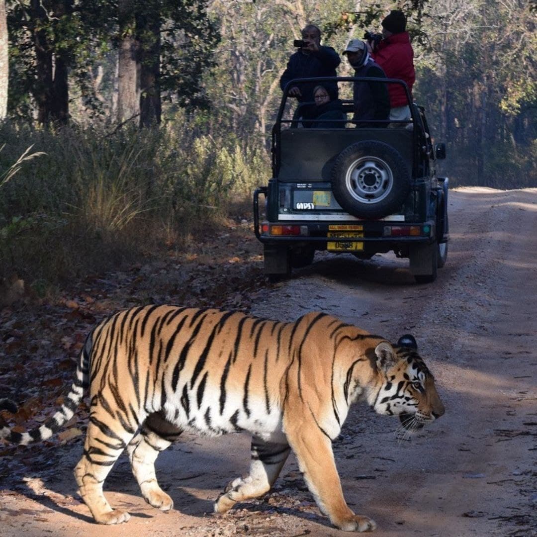 Chhattisgarh Gets New Tiger Reserve