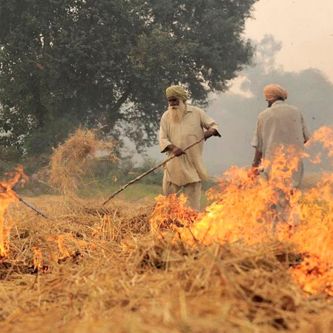 India Is Major Contributor In Global Emissions Related To Crop Burning: Report