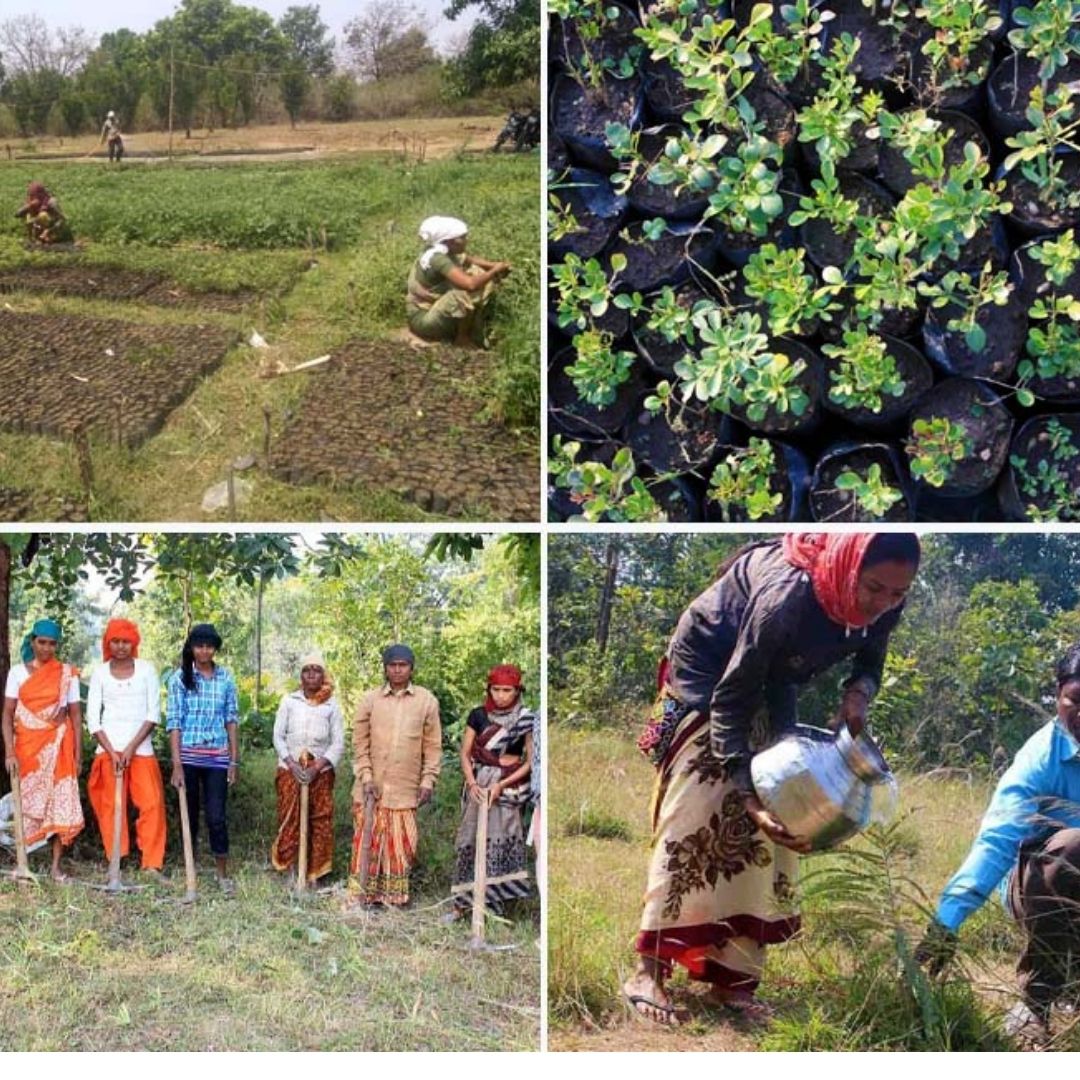 This Mumbai-Based Social Enterprise Has Planted Over 9 Million Trees, Conserved Wildlife, Created Jobs For Tribals
