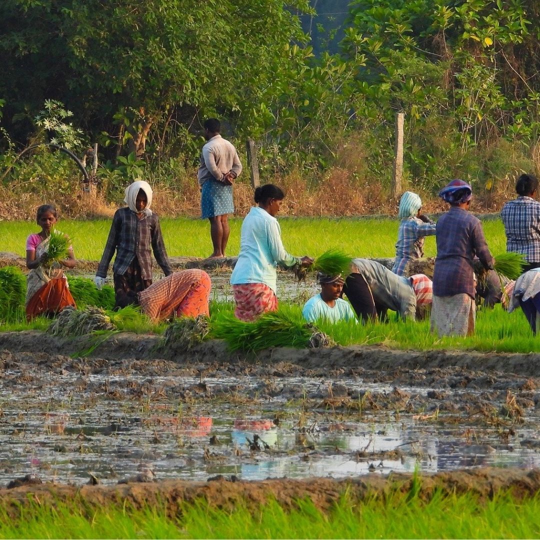 rural employment programmes in india