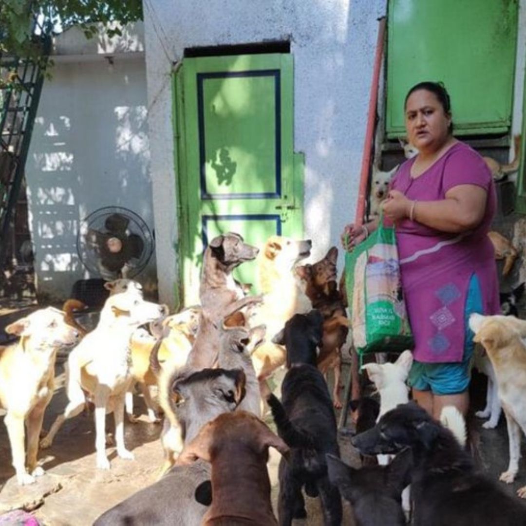 Meet Namrata Hakhoo, Jammu-Based Animal Lover Who Rescued 368 Stray Animals