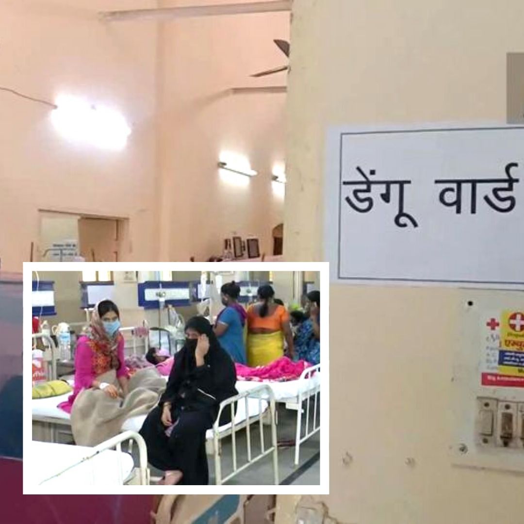 Uttar Pradesh: Dengue Creates Havoc, Over 800 Patients Admitted In Prayagraj Govt Hospitals