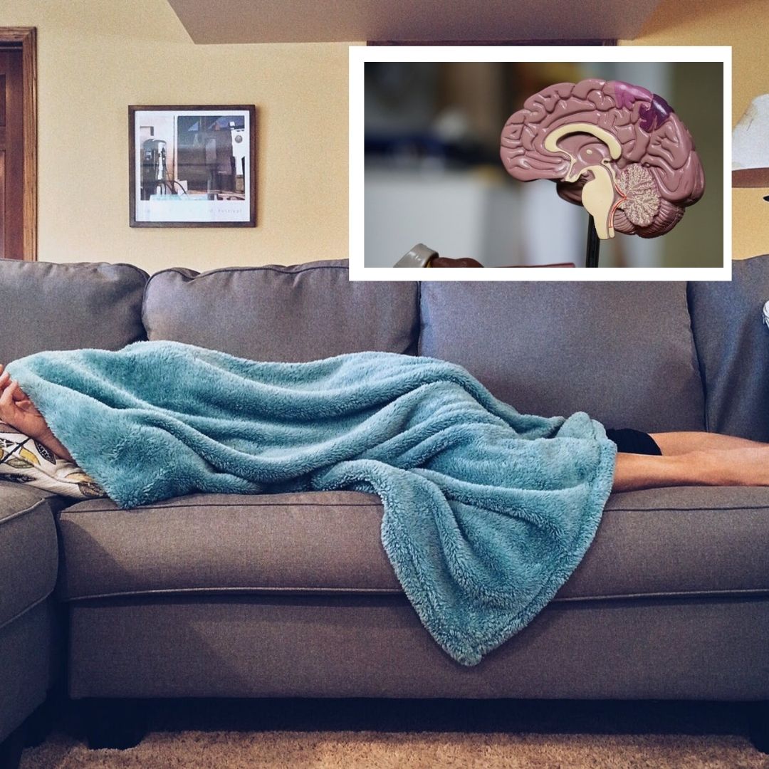 Power Naps Improve Cognitive Performance: Study
