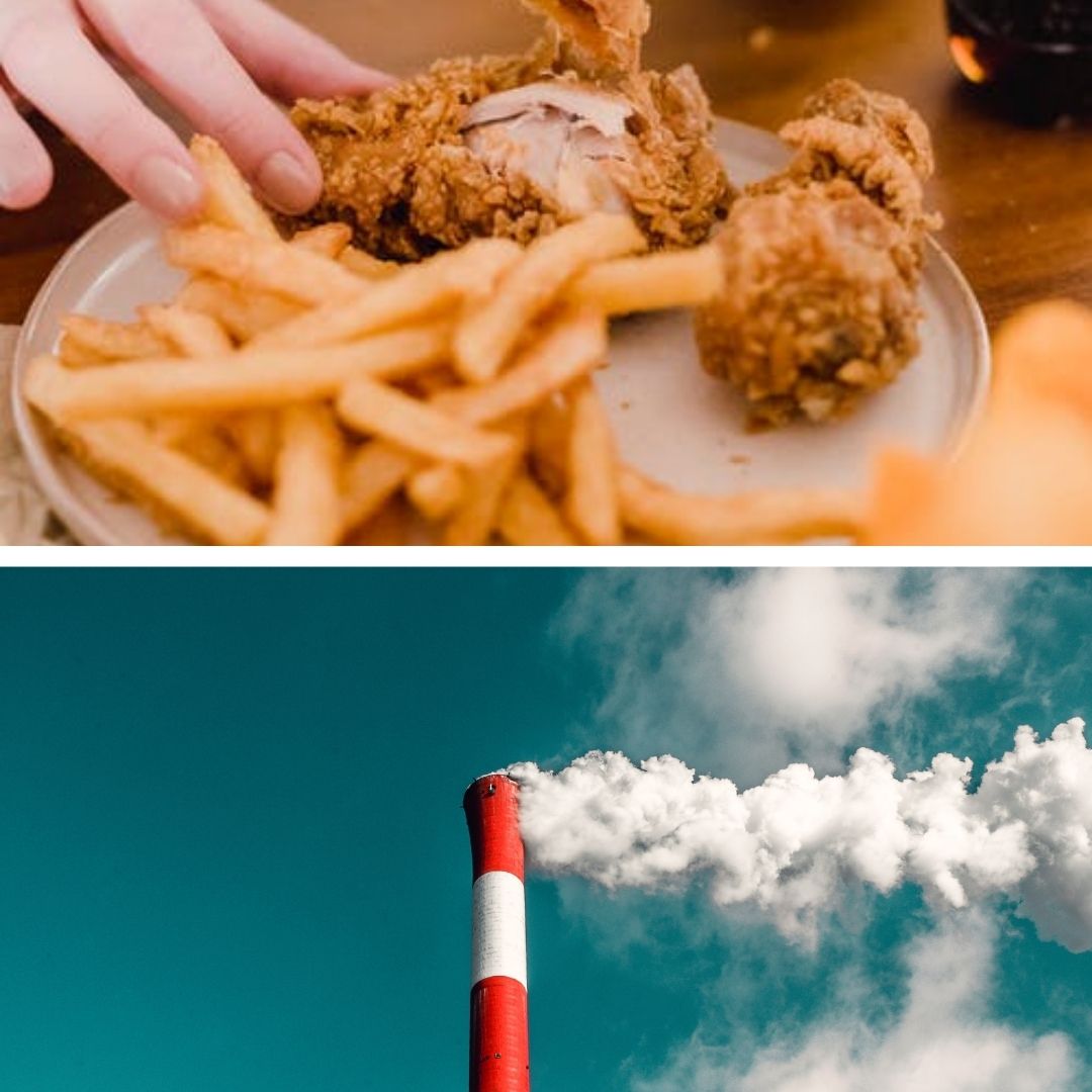 Mens Meaty Diets Cause 41% More Carbon Emissions Than Womens Diets: UK Study