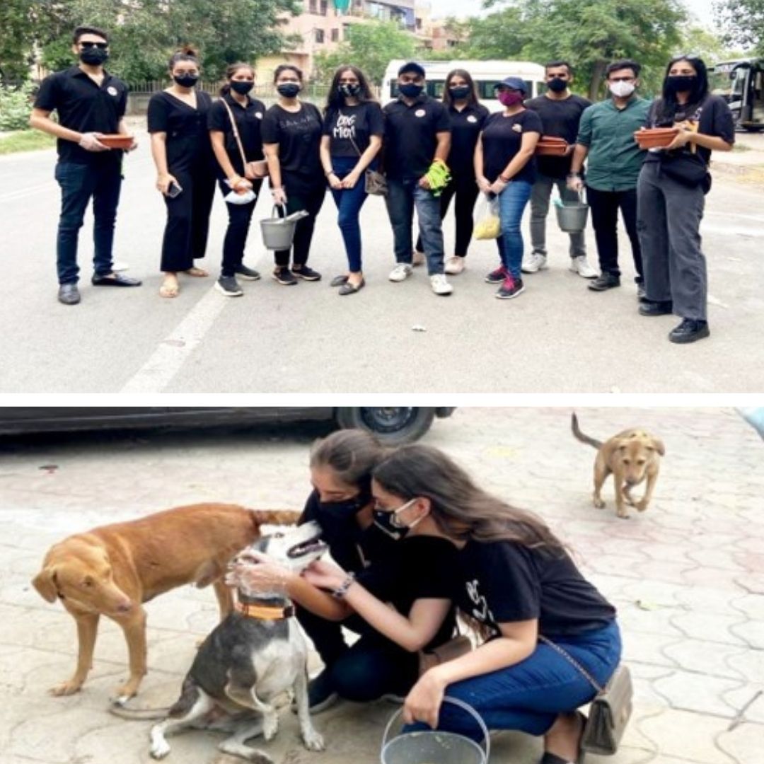 Each One, Feed One: How This Youth Organisation In Delhi Takes Care Of Stray Animals