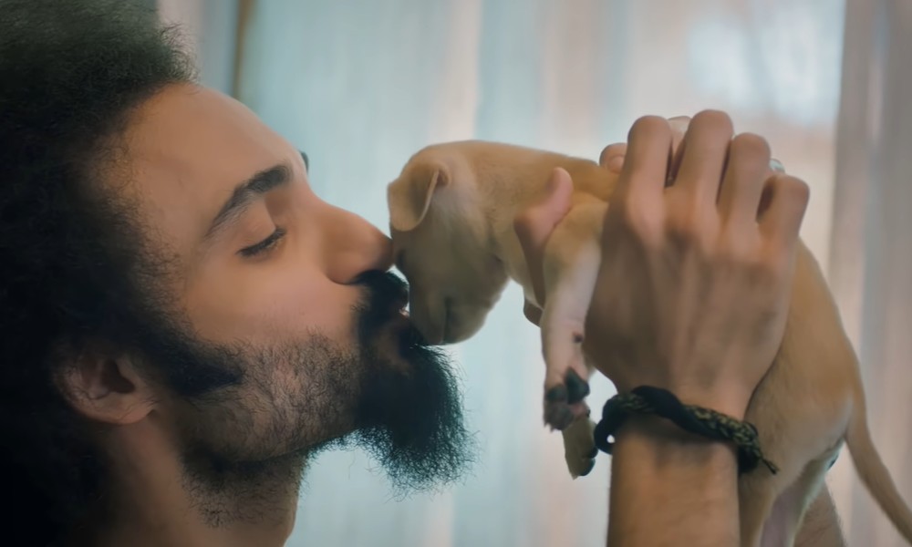 Pedigree Spotlights The Need To Adopt Indian Breed Dogs With Its #BeIndieProud Campaign