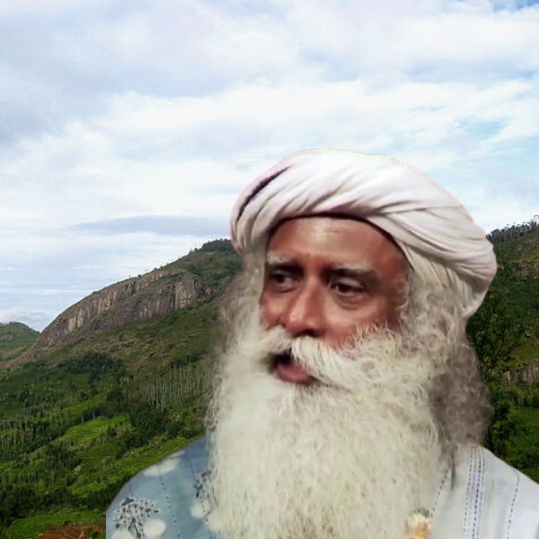 No Land Encroachment Done By Sadhgurus Isha Yoga Center: RTI Reply