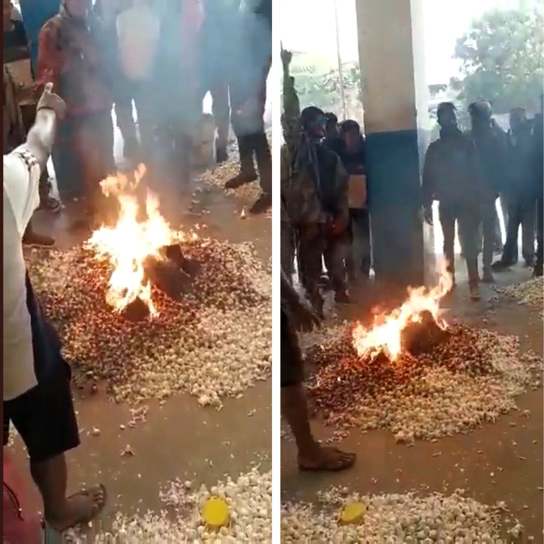 Disappointed With Low Prices, Farmer Burns Dozens Of Garlic Produce In Madhya Pradesh