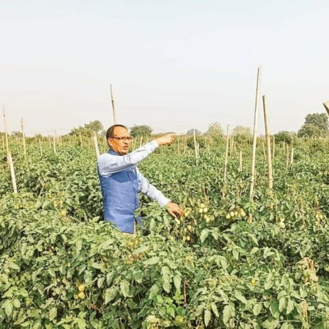 Madhya Pradesh Leads The Country In Organic Farming