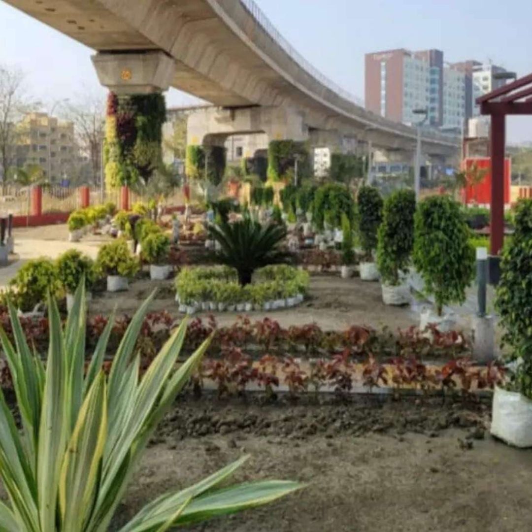 Go Green! Kolkatas New Town Turns Waste Dumping Grounds Into Micro Gardens