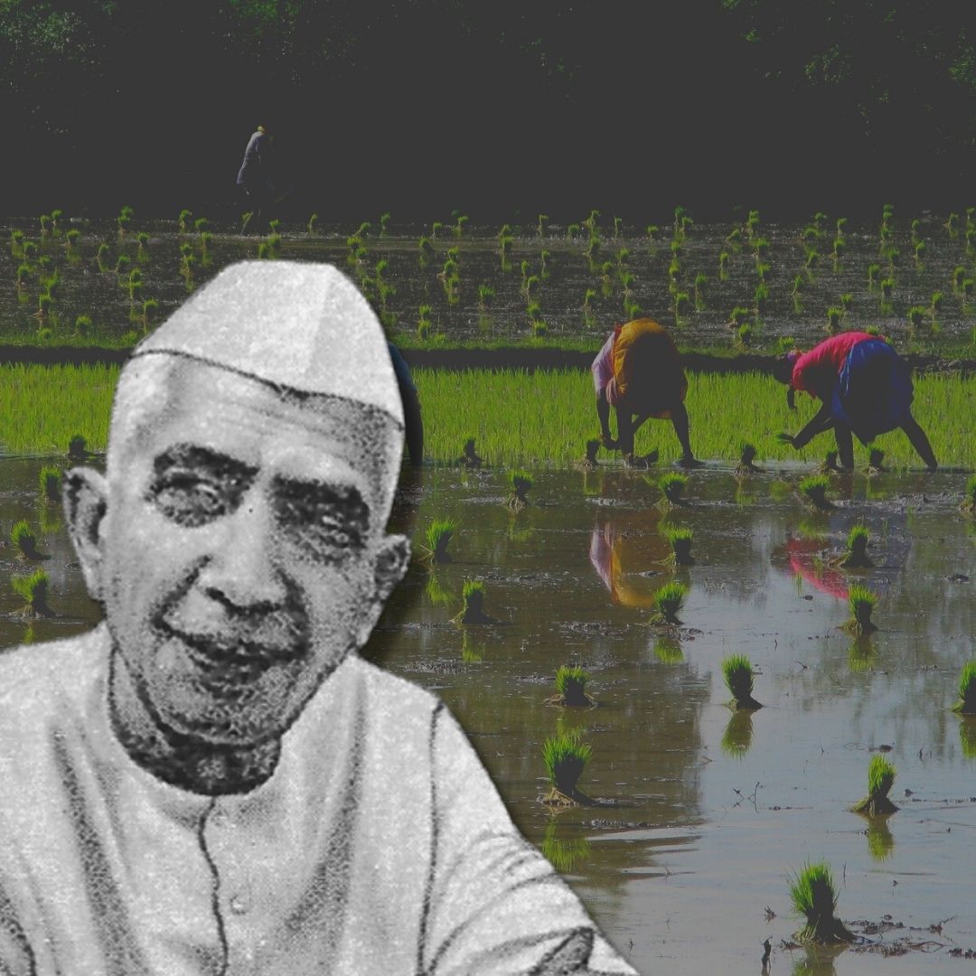 Kisan Diwas: How Chaudhary Charan Singh Helped Empower Weaker Sections In India