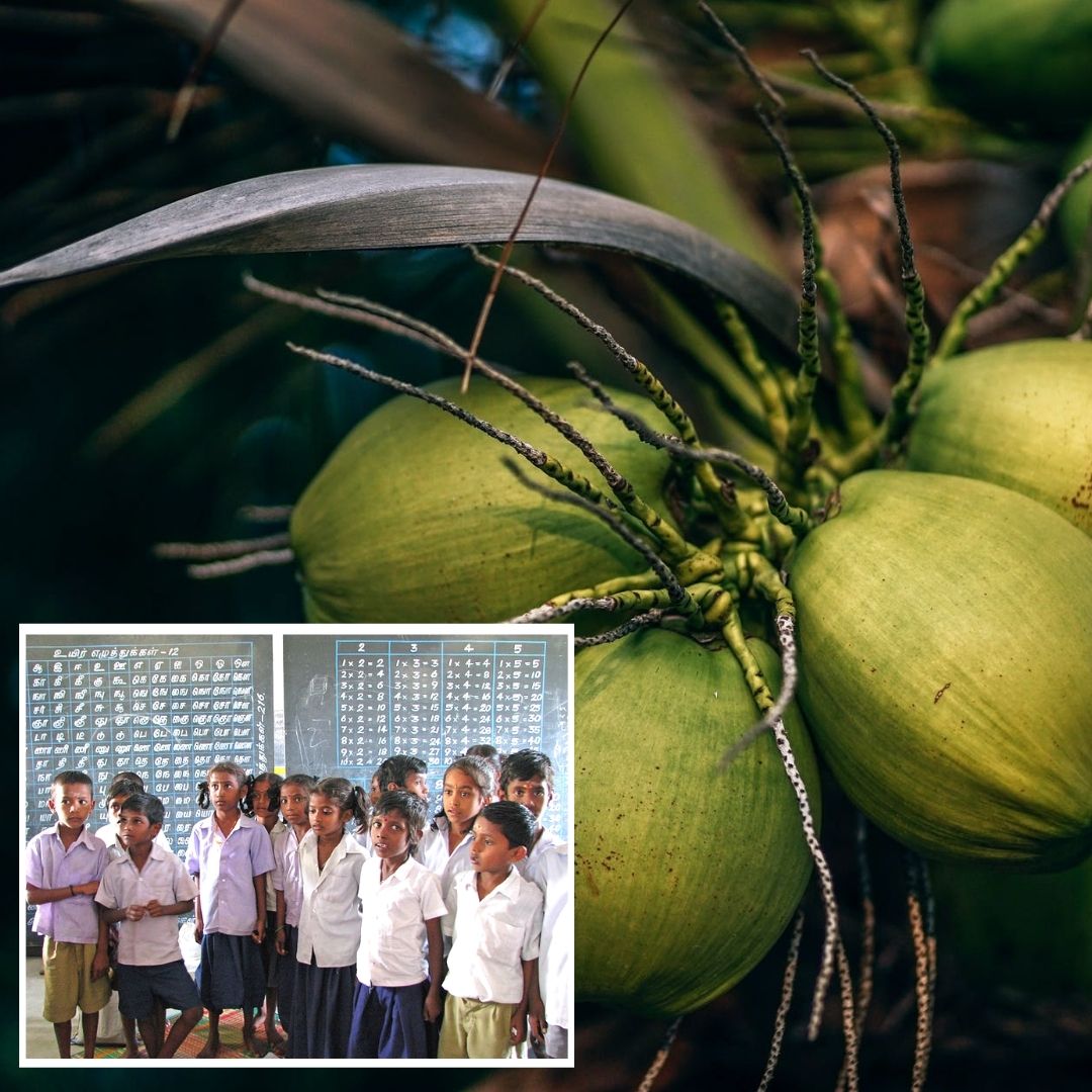 Tamil Nadus Coconut Vendor Donates ₹1 Lakh To Government School