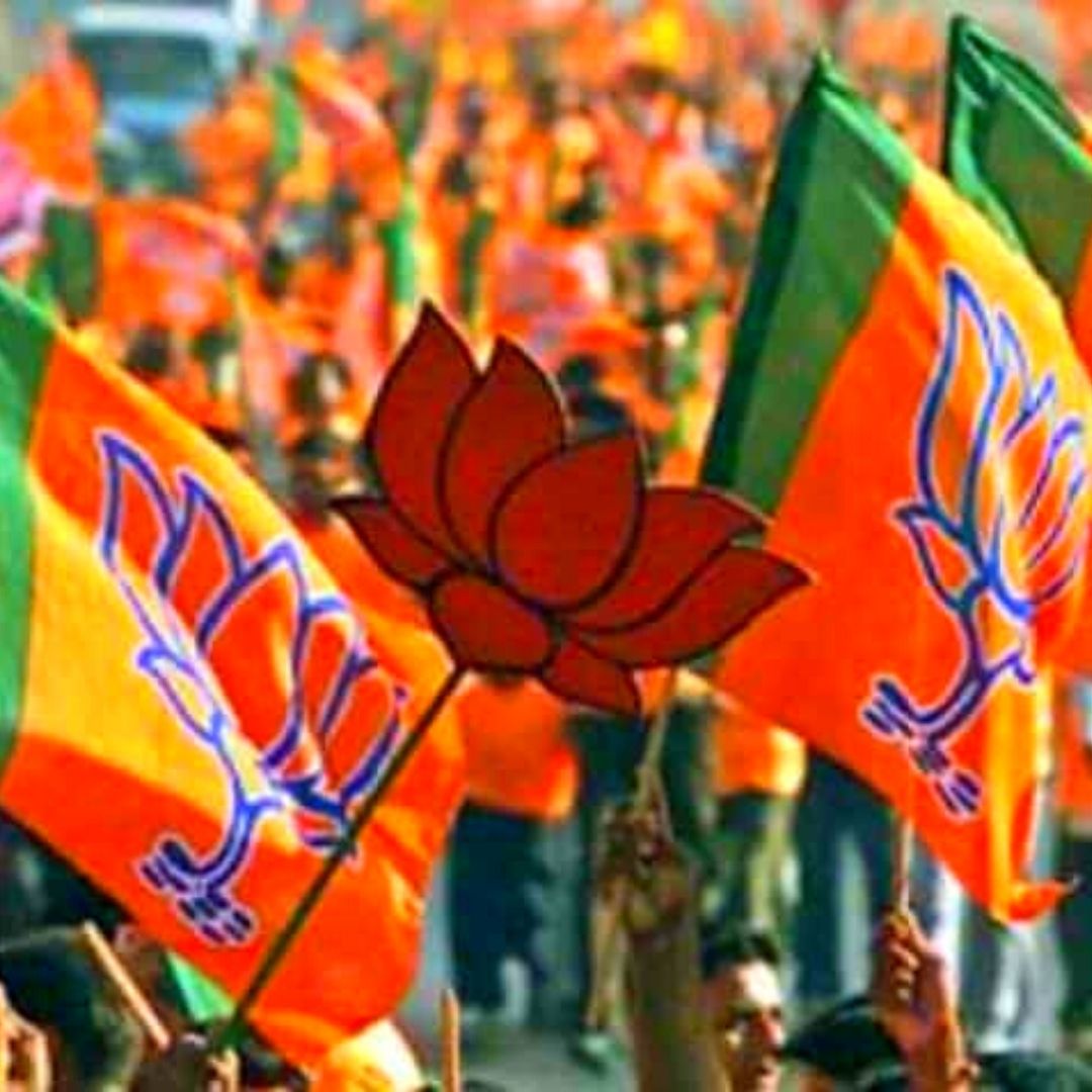 BJP Well-Wisher Of Muslims, Opposition Consider Them Votebanks: RSS Ahead Of Assembly Polls