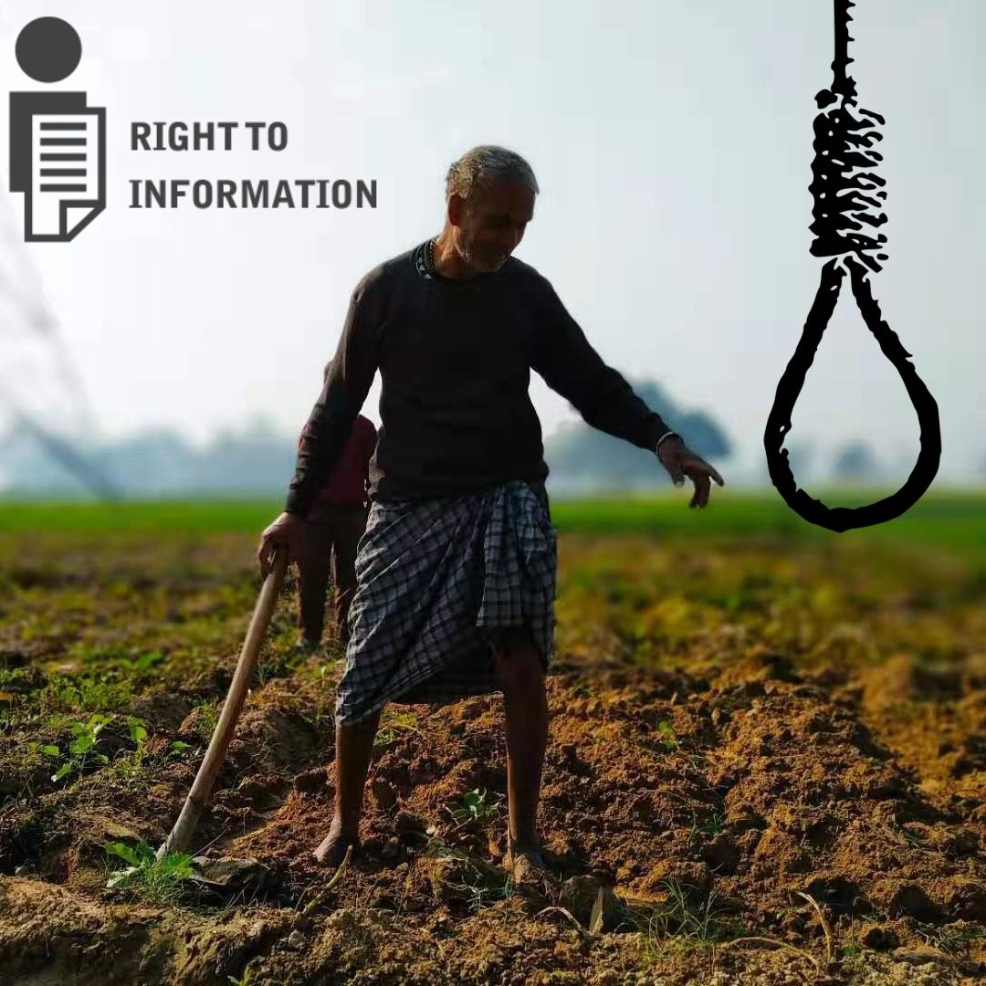 2,498 Farmers Died By Suicide In 11 Months, Reveals RTI Reply