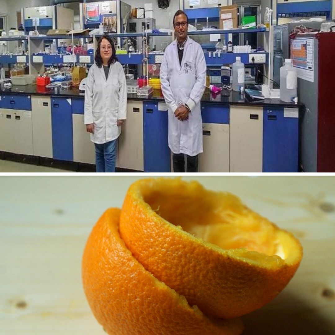 Orange Peel To BioFuel Precursor? IIT Mandi Researchers Approach To Clean, Green Energy