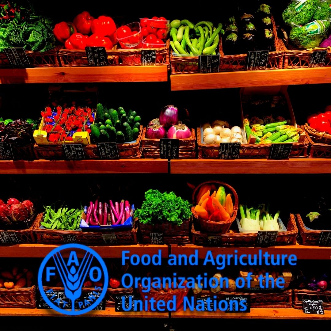 FAO Report World Food Prices Went Up By 20.7% To Hit Record-Breaking High In February