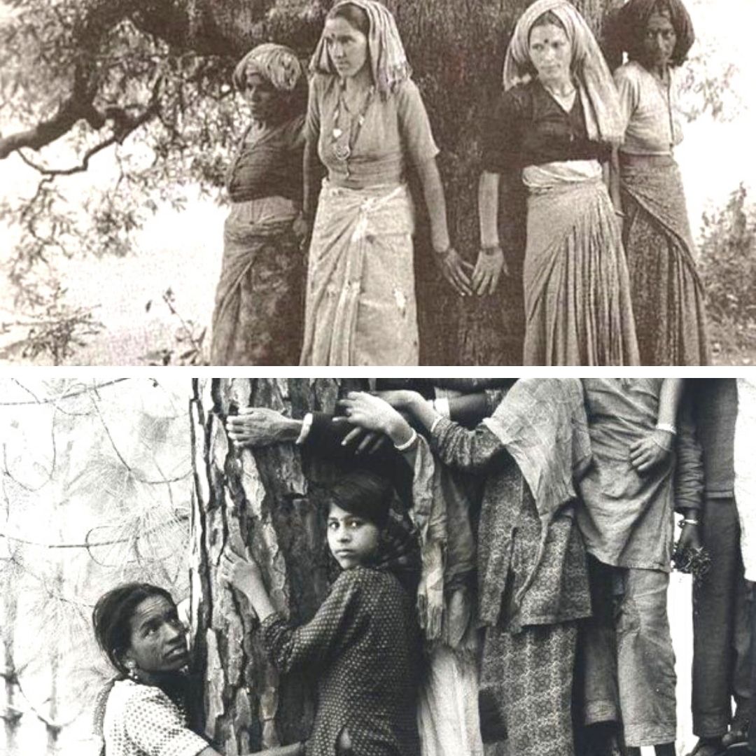How 'Chipko Movement' Became India's Clarion Call For Forest ...