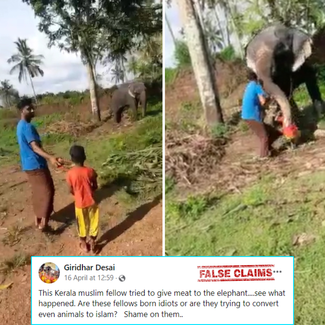 No, Viral Video Does Not Show Muslim Man Attempting To Feed Meat To Elephant