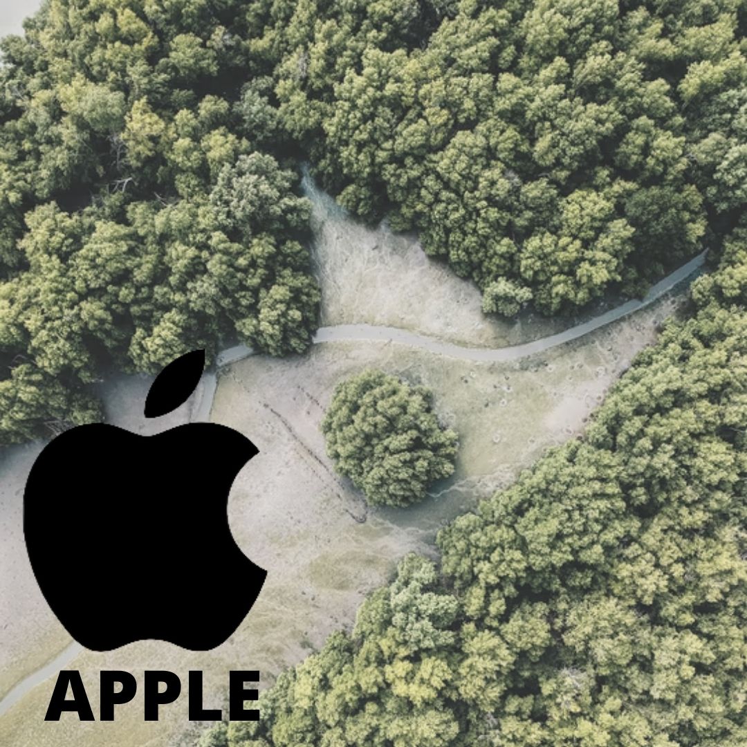 Techno Giant Apple Partners With Local NGO To Protect, Conserve Mangroves Of Maharashtra