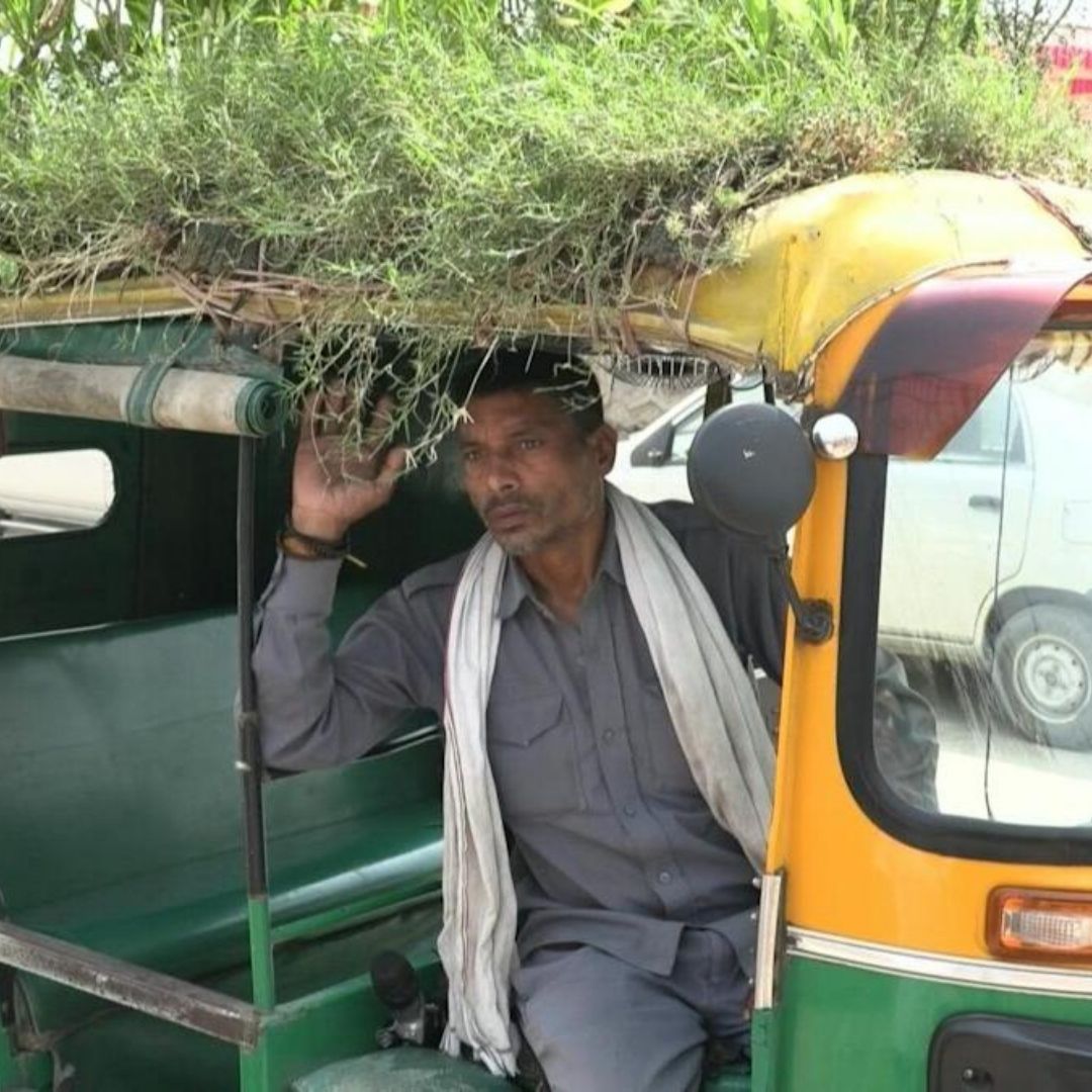 Beat The Heat: Amid Soaring Temperature, This Autodrivers Rooftop Garden Keeps Passengers Cool