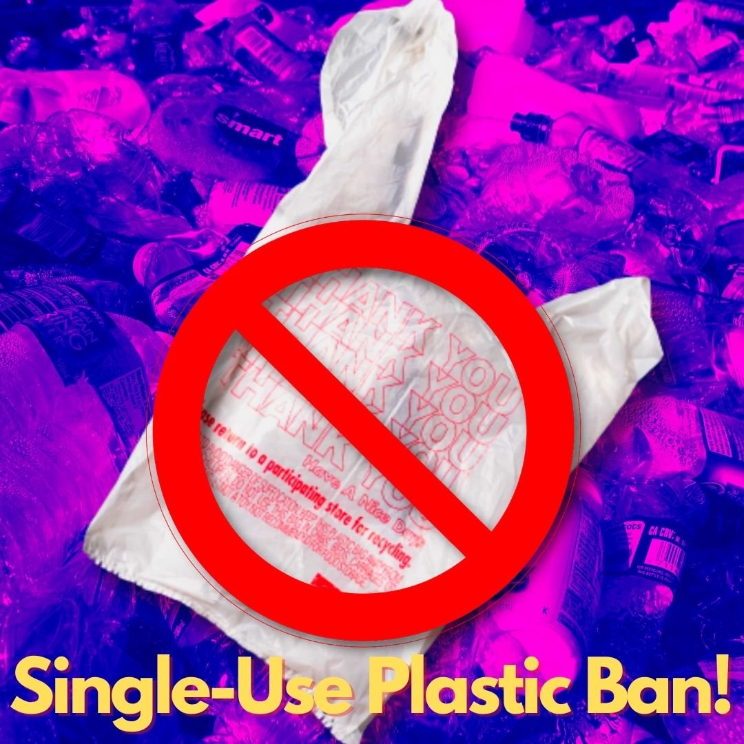 Single-Use Plastic Items Banned In India From July 1 Onward- Heres All You Need To Know
