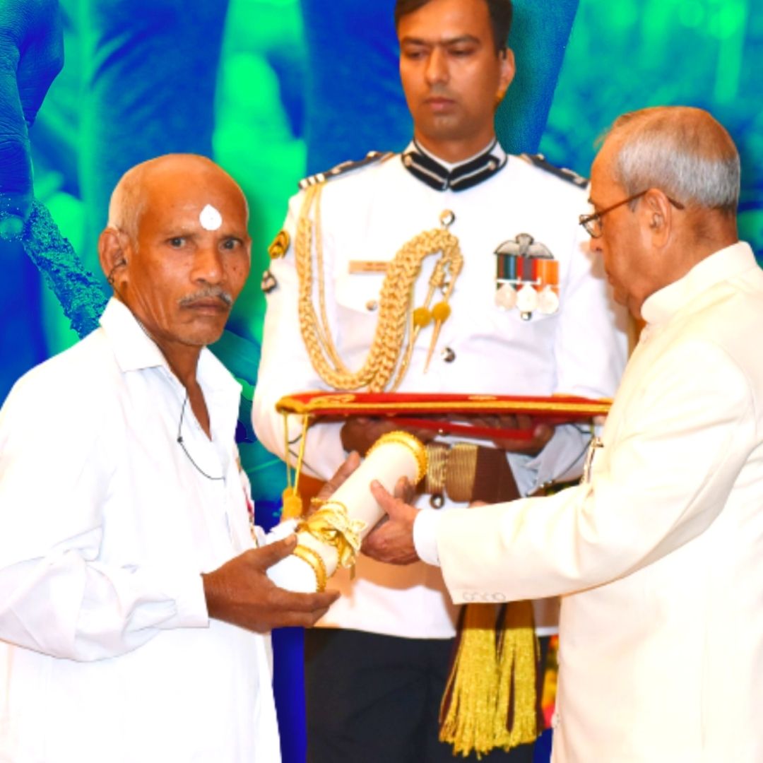 Who Is Daripalli Greenman Ramaiah? Padma Shri Awardee Who Planted Over 1 Crore Trees Alone