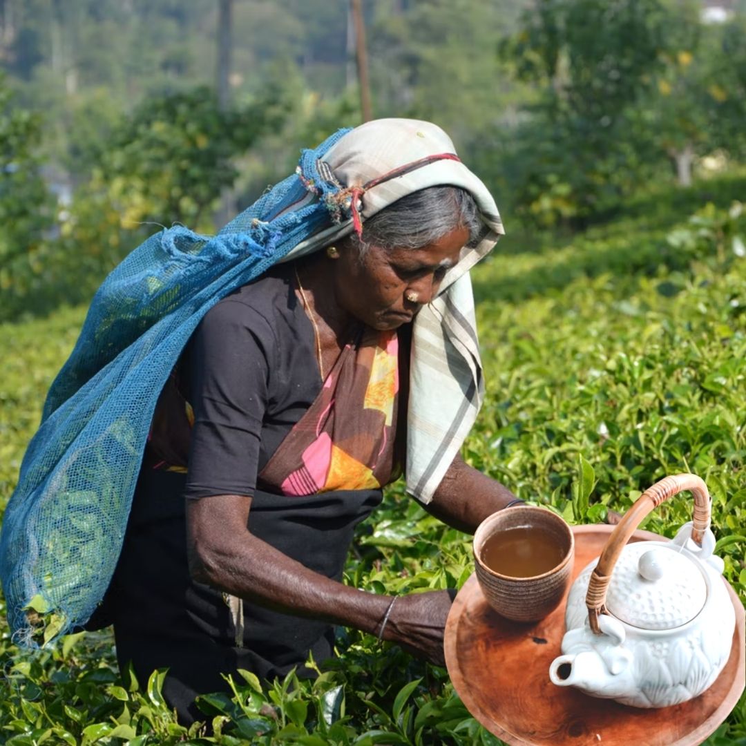 International Tea Day: Heres How Britishers Introduced The Beverage, Revolutionised Its Industry In India