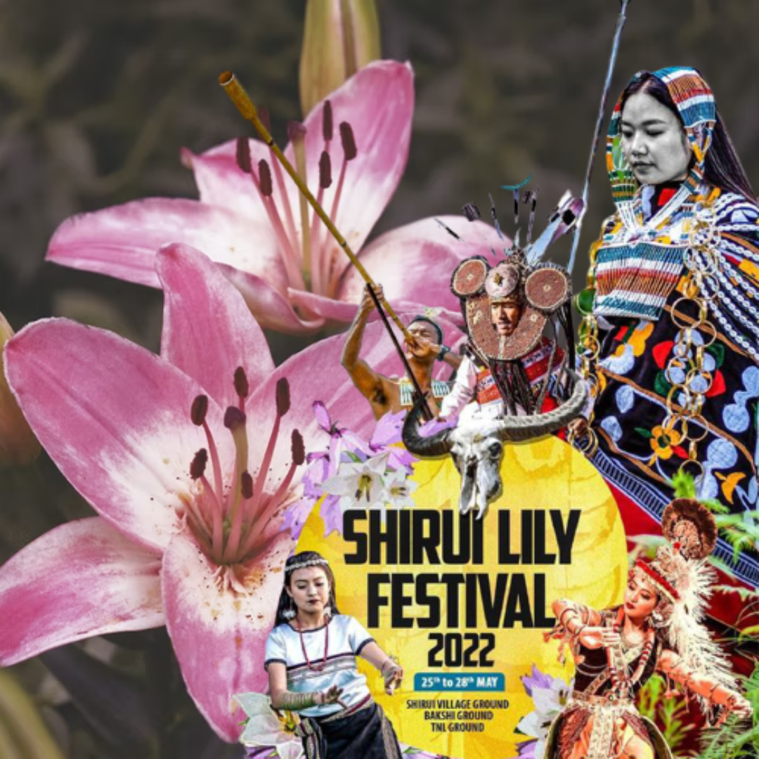 Know About Shirui Lily Festival Of Manipur That Honours States Indigenous, Endangered Flower