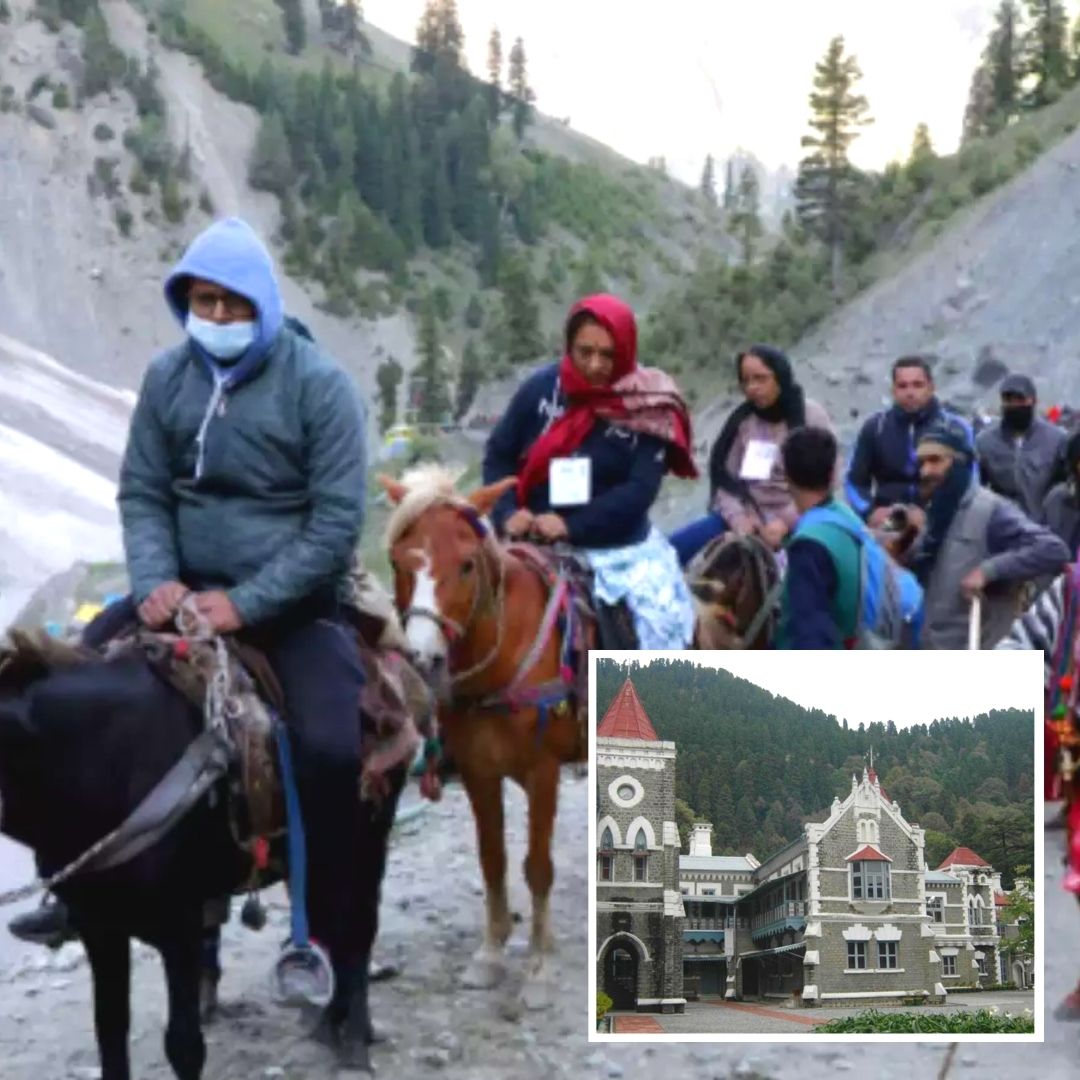 Uttarakhand HC Issues Notice To Govt Concerning Under-Regulation, Death Of Animals During Pilgrimages
