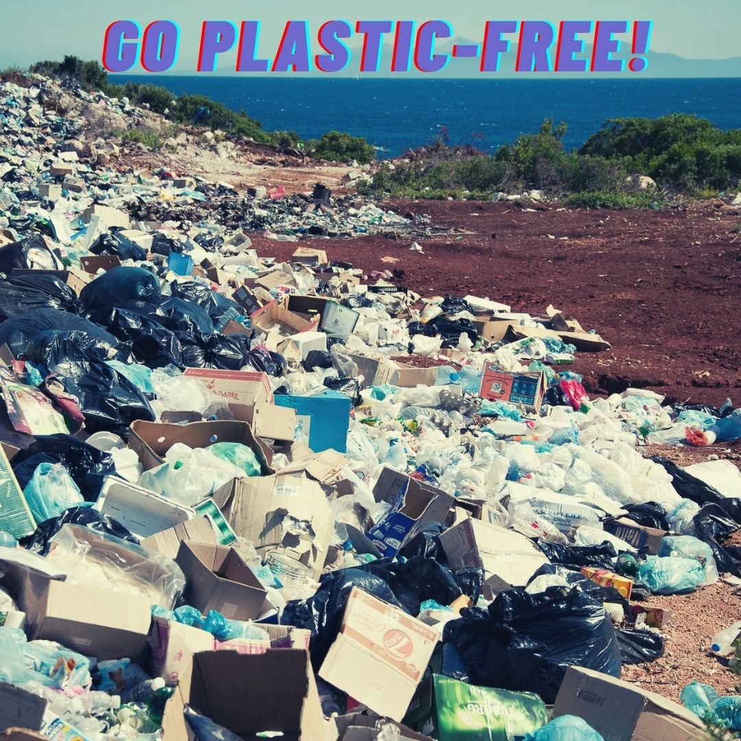 Go Plastic-Free! Delhi To Shut Down All Units Dealing With Single-Use Plastic Items, Effective July 1