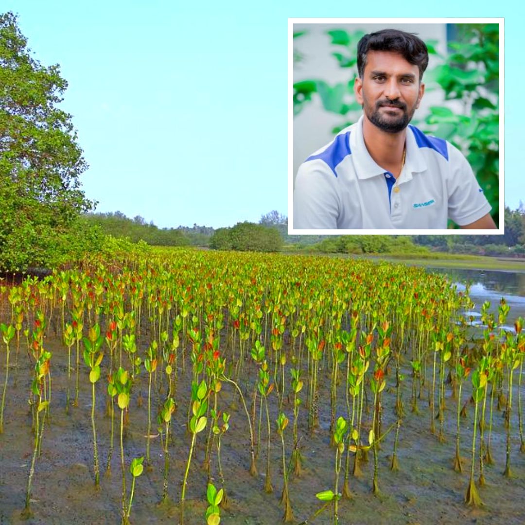 Incredible Transformation! This Bengaluru-Based Engineer Turns Landfill Into Forest By Planting 60,000 Saplings