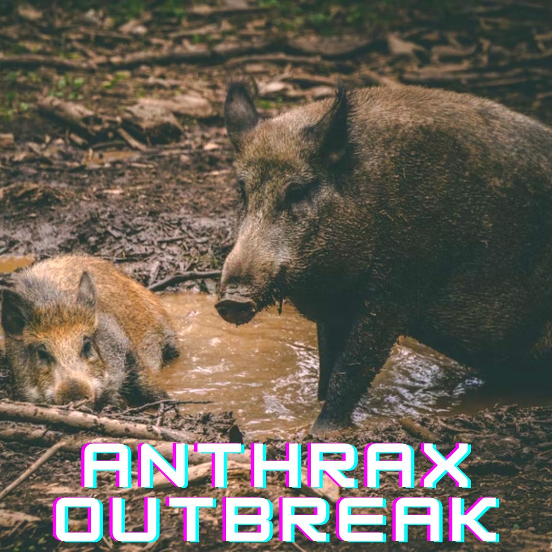Anthrax Outbreak Reported In Kerelas Athirappilly Forest, Govt Takes Crucial Measures To Stop Spread