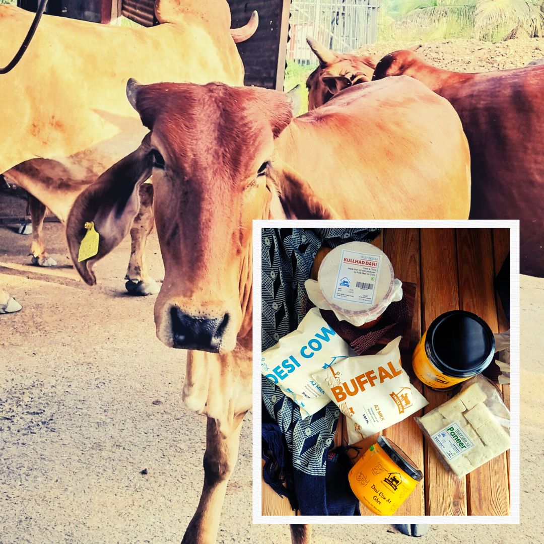 This Pune-Based Dairy Startup Takes Charge To Fight Adulteration, Empowers Farmers In Rural India