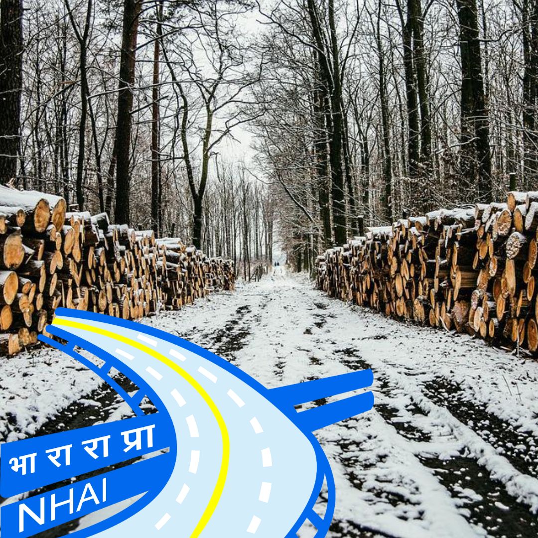 Over 1 Lakh Trees Cut Down By NHAI For Constructing Srinagar Ring Road; Reveals RTI Reply