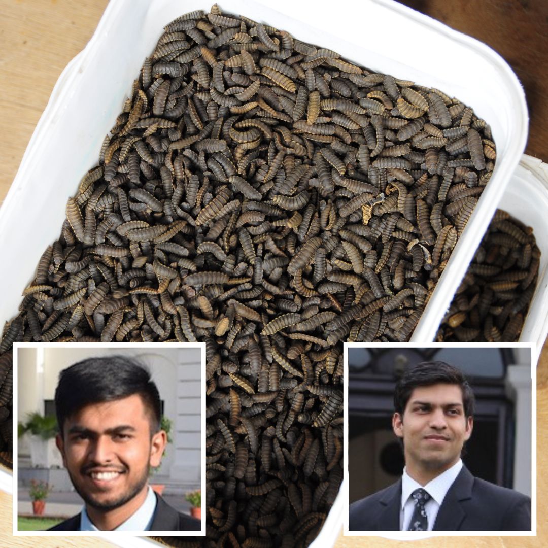 Waste To Value! This Bengaluru-Based Startup Is Upcycling Food Waste By Black Soldier Fly Larvae