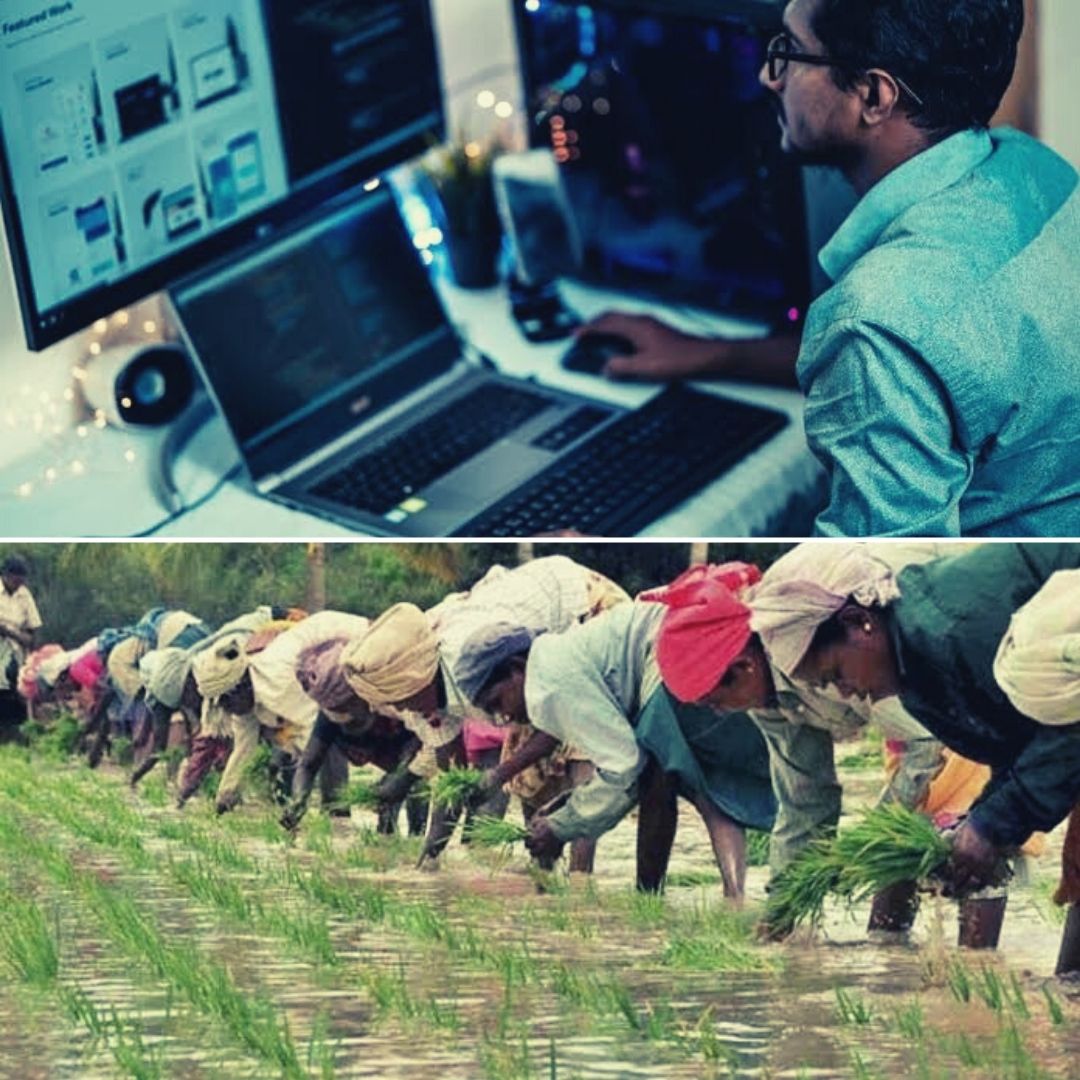 Revolutionising Agrarian Sector: Jharkhand Becomes First State To Introduce Blockchain Tech In Farming