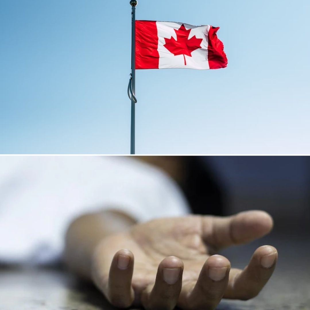 Arrived When Hes No More! Haryana Man Dies By Suicide Over Delay In Canada Student Visa