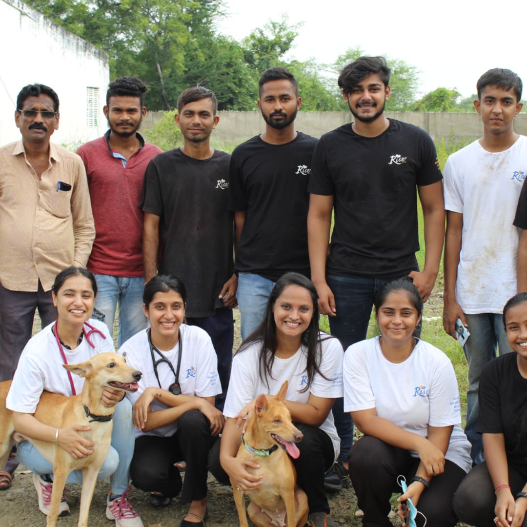 Helping Stray Animals! This NGO Rescued Over 1,000 Dogs, Envisions To Build  A Sustainable Model