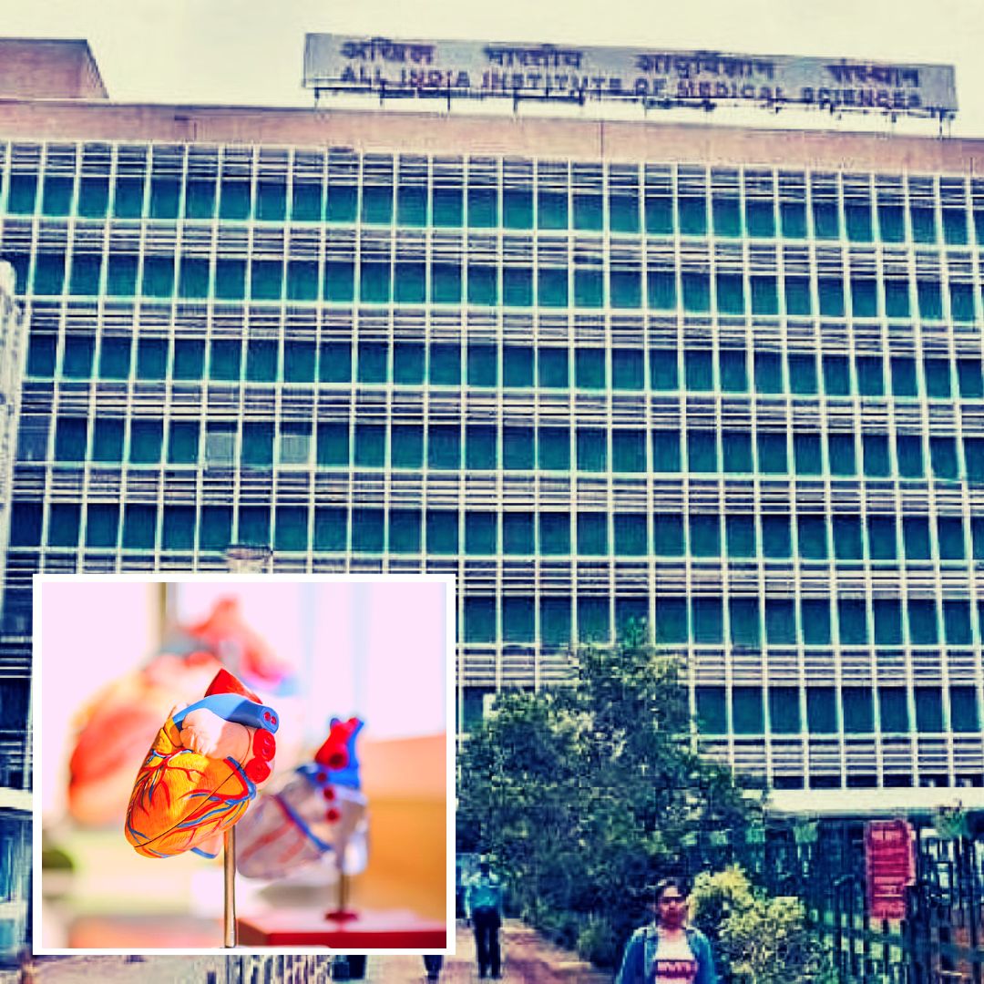 Organs Of Delhi AIIMS Officials Sister Gives New Lease Of Life To Four, Vision To Two People