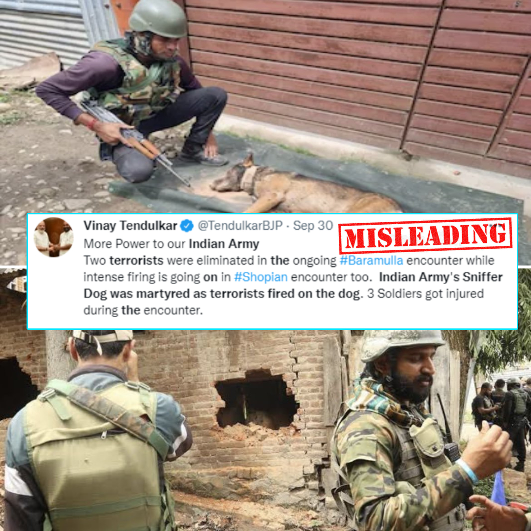 BJP Leader Shared Old Image Of Sniffer Dog Killed In An Encounter As Recent