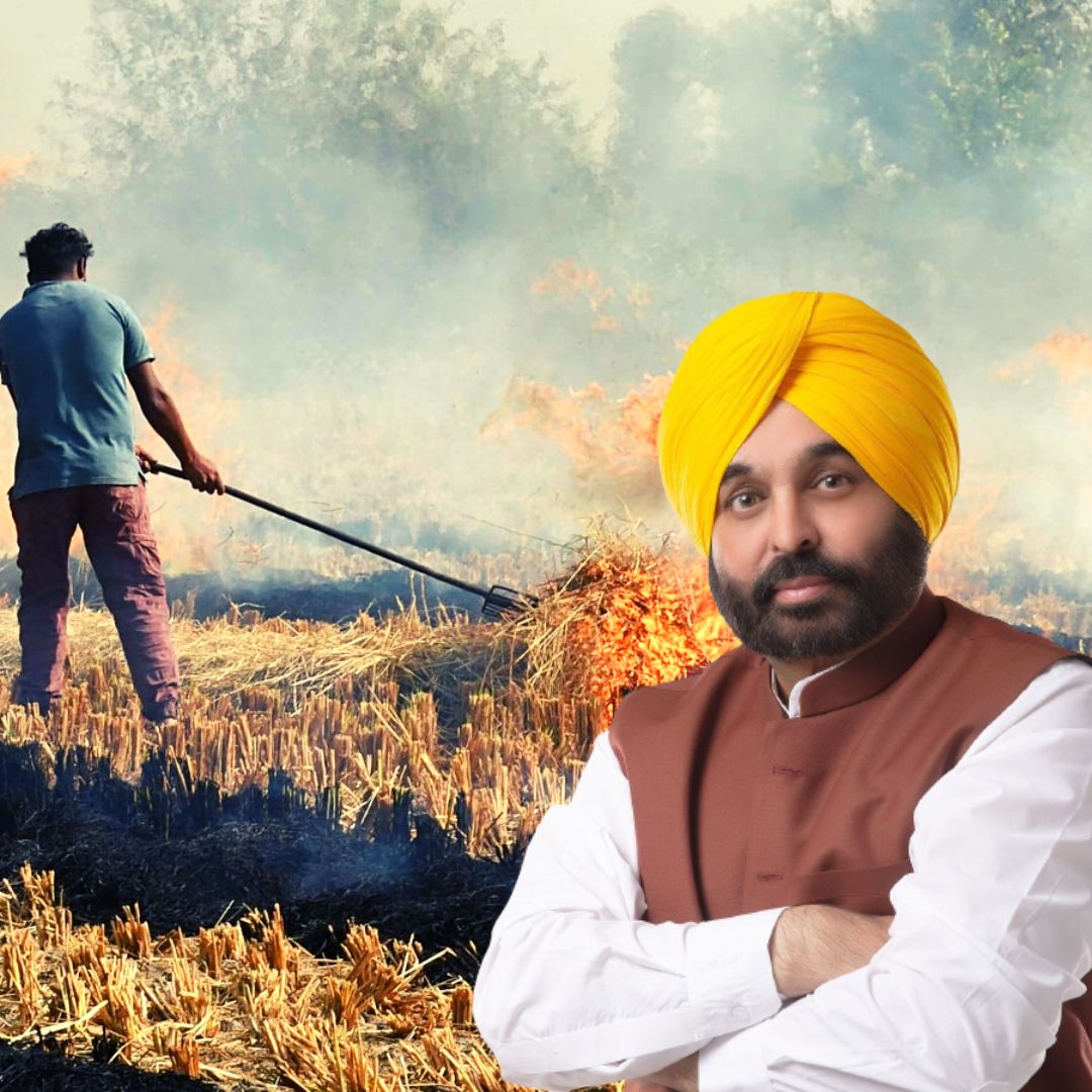 Stubble Burning Continues In Punjab With Over 700 Farm Fire Incidents Recorded So Far